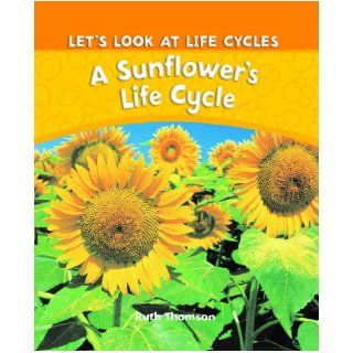 A Sunflower's Life Cycle (Let's Look at Life Cycles): Ruth Thomson: 9781615322305:  Kids' Books