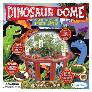 Dinosaur Dome Garden Dunecraft Ecology & Environment