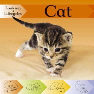 Cat (Looking at Lifecycles): Victoria Huseby: 9780749671075: Books