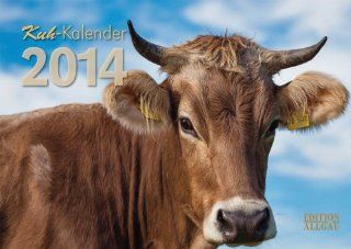 Kuh Kalender 2014: mit Allguer Braunvieh: EDITION ALLGU: Bücher