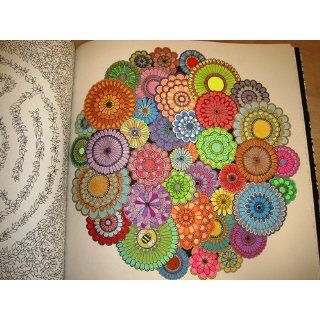 Secret Garden: An Inky Treasure Hunt and Coloring Book: Johanna Basford: 9781780671062: Books