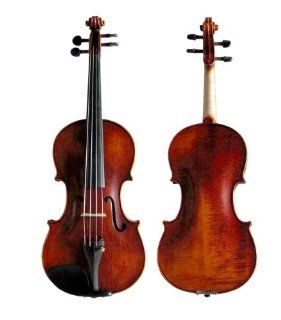 Hallelu String Hvl 301 4/4 Violin W/case: Musical Instruments