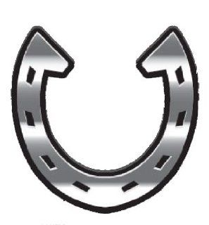Cowboy Cowgirl Horse Shoe Car Truck SUV Home Office School 3D Chrome Emblem Decal: Automotive