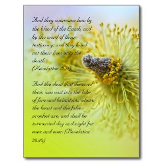 Bible verses, Spring time Postcard