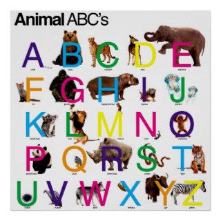 Animal ABC Poster