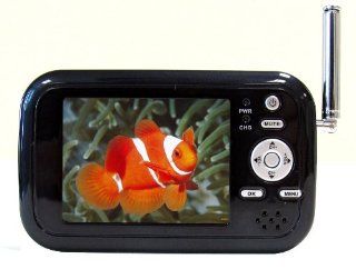 iVIEW 352PTV 3.5 Inch Portable Digital LCD TV: Electronics