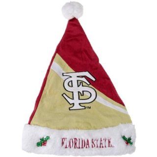 NCAA Swoop Logo Santa Hat NCAA Team Florida State Seminoles  Skull Caps  Sports & Outdoors