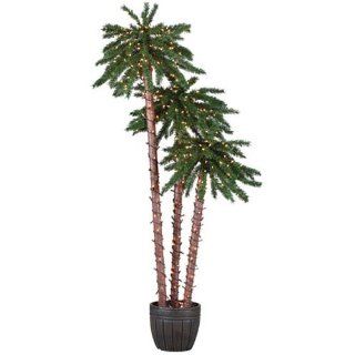 Sterling 5205 456c 4 Feet, 5 Feet and 6 Feet Pre Lit Potted Palm Tree Clear Light: Home Improvement