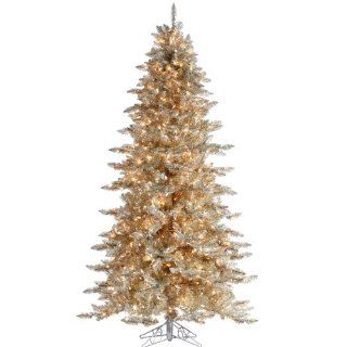 5' Pre Lit Layered Platinum Gold Frasier Fir Artificial Christmas Tree Clear Lit  