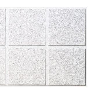 Armstrong 10 Pack Dune Second Look Ceiling Tile Panel (Common: 24 in x 48 in; Actual 23.688 in x 47.688 in)