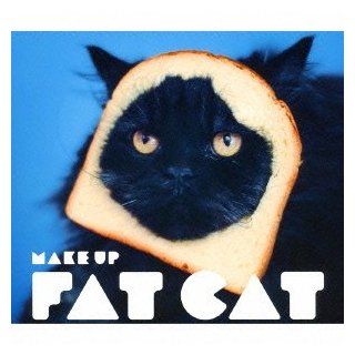 Fat Cat   Make Up (CD+DVD) [Japan LTD CD] VIZL 552: Music