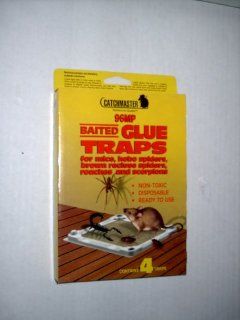 Baited Glue Traps for Mice, Hobo Spiders, Brown Recluse Spiders, Roaches and Scorpions : Insect Traps : Patio, Lawn & Garden