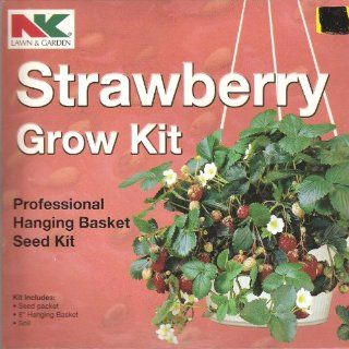 New Professional Strawberry Hanging Basket Grow Kit : Planters : Patio, Lawn & Garden