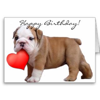 Happy Birthday  Bulldog puppy greeting card