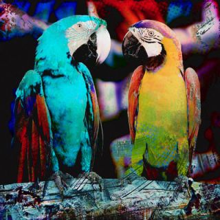Salty & Sweet Parrot Friends Graphic Art on Canvas SS080 Size: 12 H x 12 