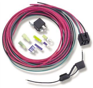 Holley 12 753 30 Amp Fuel Pump Relay Kit: Automotive