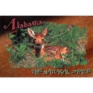 Alabama To Idaho Souvenirs Alabama Postcard Al110 Fawn (Pack Of 750) Pack Of 750 Pcs : Sports Fan Home Decor : Sports & Outdoors