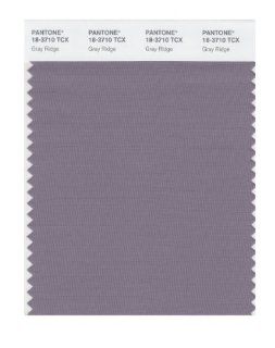 PANTONE SMART 18 3710X Color Swatch Card, Gray Ridge   House Paint  