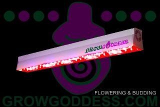 LED Grow Light: Grow Goddess 600 Flowering & Budding : Plant Growing Lamps : Patio, Lawn & Garden