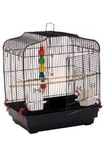 Liberta UK 52 by 46 by 36cm Siam Bird Cage, Medium : Birdcages : Pet Supplies
