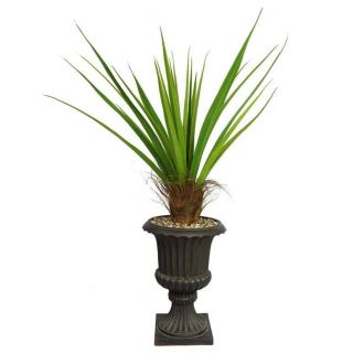 Laura Ashley 58 Tall Agave Plant With Cocoa Skin In 16 Fiberstone Planter
