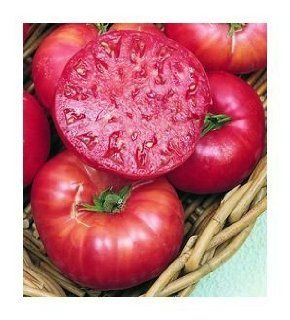 75+ Mortgage Lifter Tomato Seeds  Heirloom Variety : Vegetable Plants : Patio, Lawn & Garden