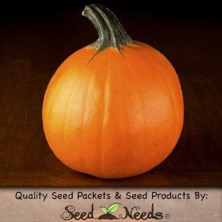 25 Seeds, Pumpkin "Small Sugar Pie" (Cucurbita pepo) Seeds by Seed Needs : Pumpkin Plants : Patio, Lawn & Garden