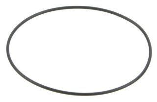 OES Genuine Throttle Body Gasket O Ring for select BMW models: Automotive