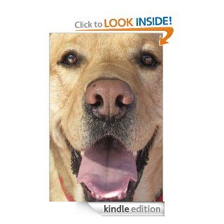 Jack: A book about a dog where the dog doesn't die at the end eBook: Ray Braswell: Kindle Store