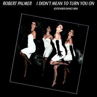 I Didn't Mean to Turn You on / Addicted to Love (Vinyl 12 Inch Single): Music