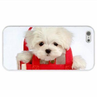 Tailor Apple Iphone 5/5S Animal Dog Of Birthday Gift White Cellphone Skin For Everyone: Cell Phones & Accessories