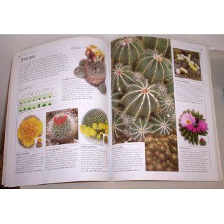 Complete Book of Cacti & Succulents: Terry Hewitt: 0790778165703: Books