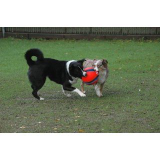 Chuckit Kick Fetch Toy Ball for Dogs, Large : Pet Toy Balls : Pet Supplies
