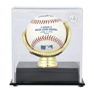 Gold Glove MLB Single Baseball Expos Logo Display Case : Sports Related Display Cases : Sports & Outdoors
