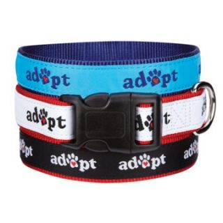 Casual Canine Adopt Dog Collar   Dog Collars and Leashes