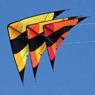Into The Wind Fleet Stack of 3 Stunt Kites: Toys & Games