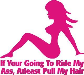 If You're Going to Ride My Ass At Least Pull My Hair Funny Decal (6" Inch in HOT PINK) Decal for car, laptop, window, Etc. WITH FREE SHIPPING!: Everything Else