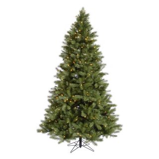 Albany Spruce Pre lit LED Christmas Tree   Christmas Trees