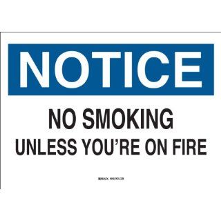 Brady 38065 Plastic Funny Sign, 7" X 10", Legend "No Smoking Unless You're On Fire": Industrial Warning Signs: Industrial & Scientific