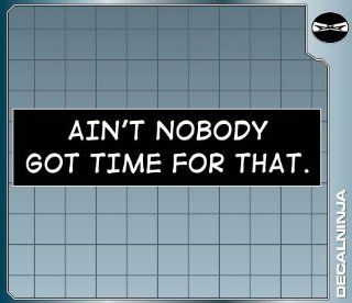 AIN'T NOBODY GOT TIME FOR THAT Funny Bumper Sticker Car Truck Laptop Decal  Other Products  