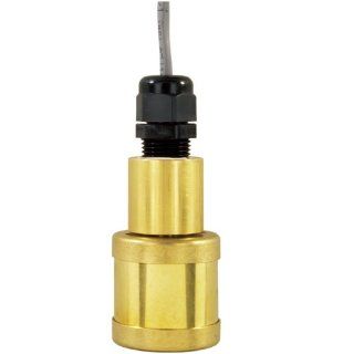 Gems Sensors 149350 Buna N Float Weighted Single Point Level Switch, 1" Diameter, 3/4" Actuation Level, 20VA, SPST/Normally Close, Dry: Industrial Flow Switches: Industrial & Scientific