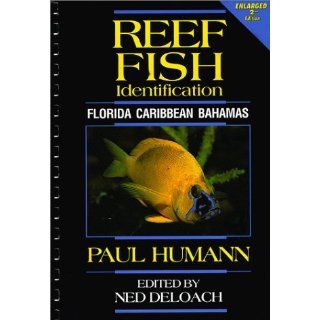 Reef Fish Identification: Florida, Caribbean, Bahamas: Paul Humann, Ned Deloach: 9781878348074: Books