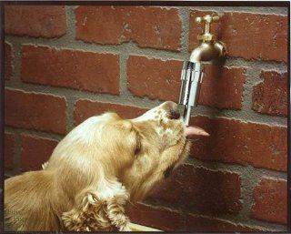 Lixit Outside Faucet Dog Waterer : Pet Self Waterers : Pet Supplies