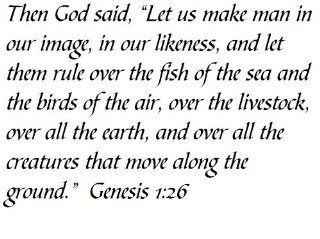 Then God said, "Let us make man in our image, in our likeness, and let them rule over the fish of the sea and the birds of the air, over the livestock, over all the earth, and over all the creatures that move along the ground." Genesis 1:26   Wal