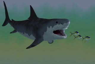 Megalodon Wall Decals Several Tuna Fish Try to Escape from a Huge Megalodon Shark   24 inches x 16 inches   Peel and Stick Removable Graphic  