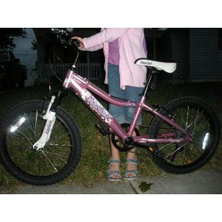 Diamondback Octane Jr Girls' Mountain Bike (2011 Model, 20 Inch Wheels) : Childrens Bicycles : Sports & Outdoors