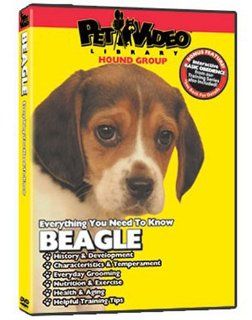 BEAGLE DVD: Everything You Should Know + Dog & Puppy Training Bonus: Pet Video Library: Movies & TV