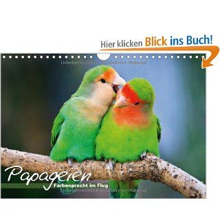 Papageien   Farbenpracht im Flug Wandkalender 2014 DIN A4 quer : Bunte Exoten im Portrt Monatskalender, 14 Seiten: CALVENDO: Bücher