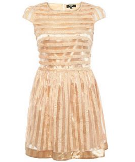 Koko Gold Mesh Stripe Cap Sleeve Organza Dress