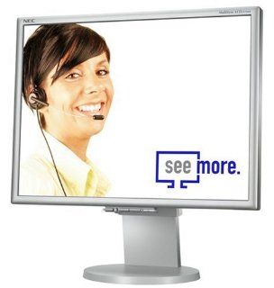 NEC LCD 2170NX 54,1 cm LCD TFT Monitor silber/grau DVI: Computer & Zubehr